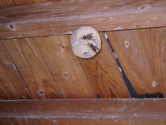 e0181260_19135325.jpg