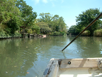 c0050264_11234029.jpg