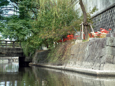 c0050264_1130082.jpg