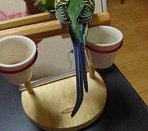 f0196665_0152751.jpg