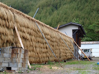 f0127866_98558.jpg