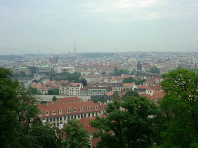 c0110871_1157148.jpg