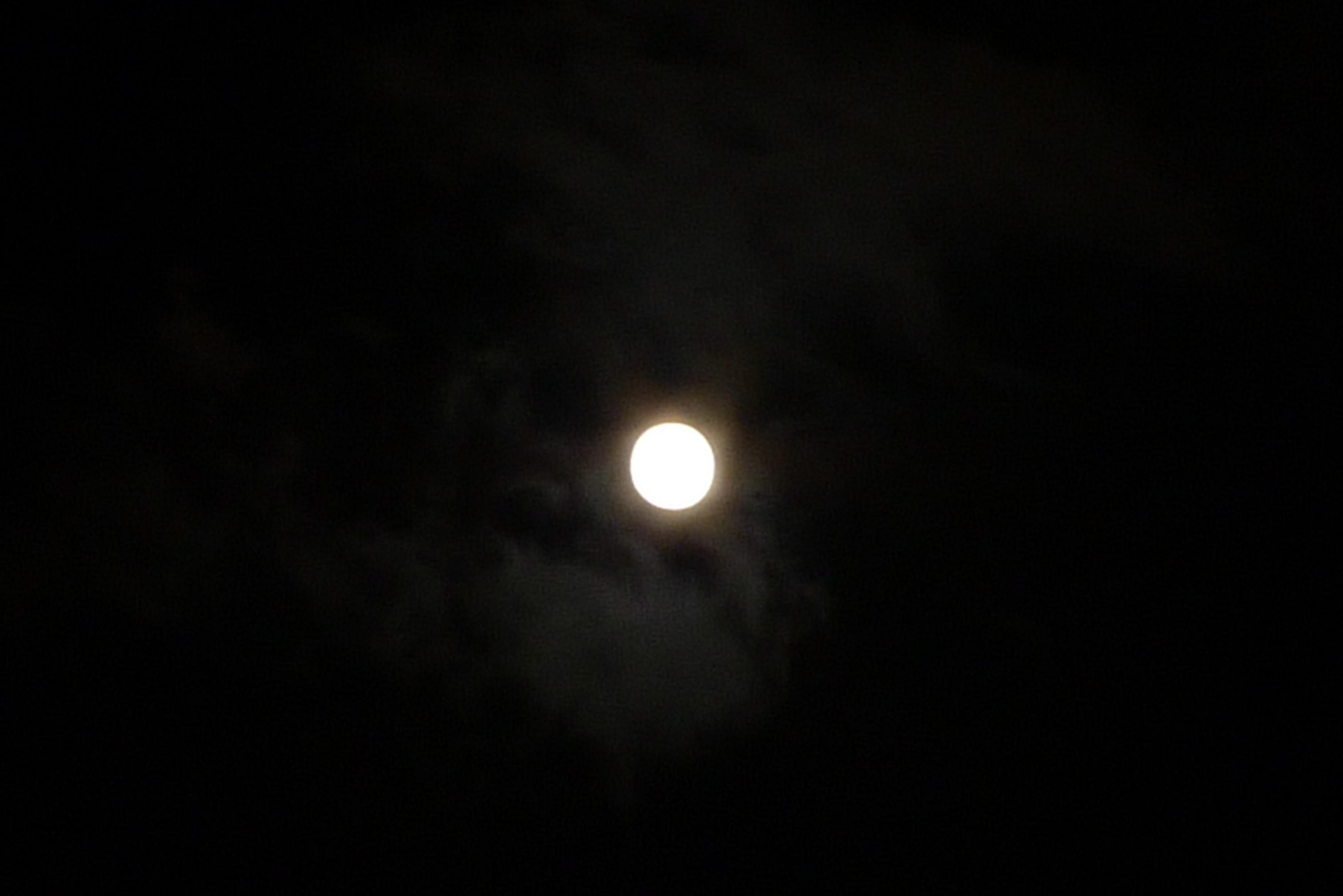 c0153672_2046625.jpg