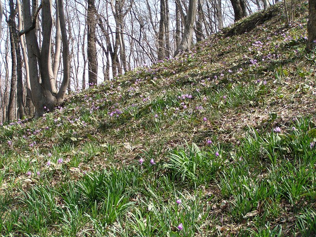 b0004675_22474887.jpg