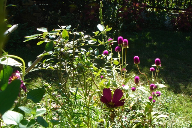 c0135480_23293891.jpg