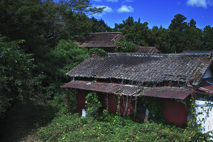 c0059485_17552664.jpg