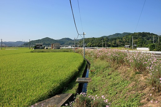 e0190885_20115652.jpg
