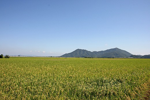 e0190885_20123961.jpg