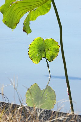 e0190885_20125951.jpg