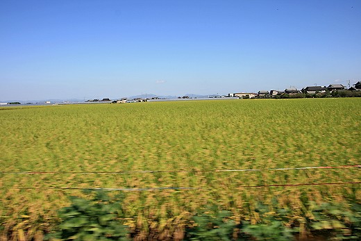 e0190885_20192238.jpg