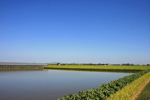 e0190885_20201929.jpg