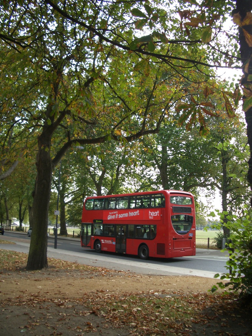 a0137487_18591494.jpg