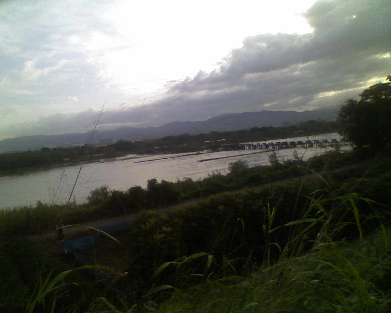 a0118289_8341351.jpg