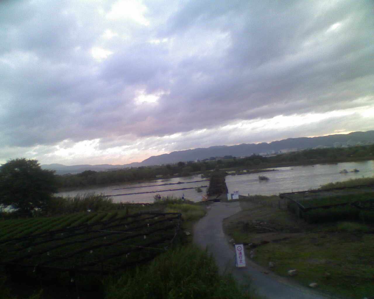 a0118289_8354260.jpg