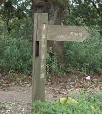 e0023790_233625.jpg