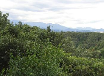 e0023790_2337133.jpg