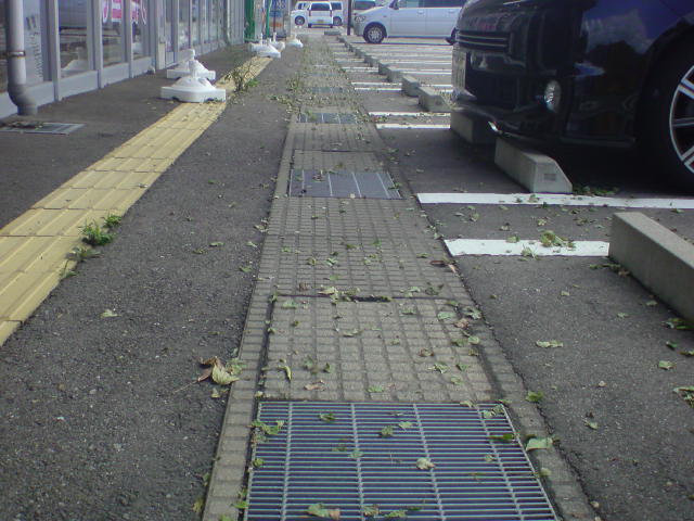 e0086292_11582657.jpg