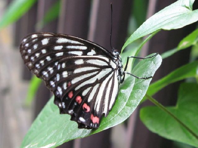 f0137096_20275571.jpg
