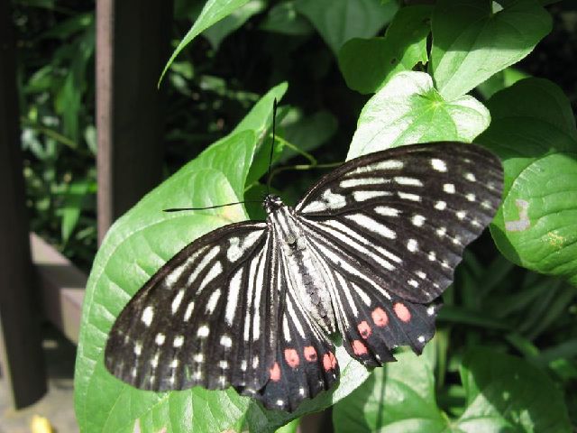 f0137096_20291535.jpg