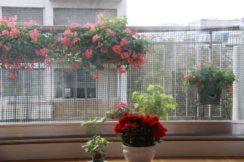 c0090198_459369.jpg
