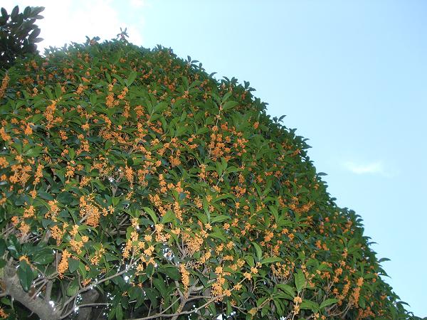 f0153998_19151155.jpg