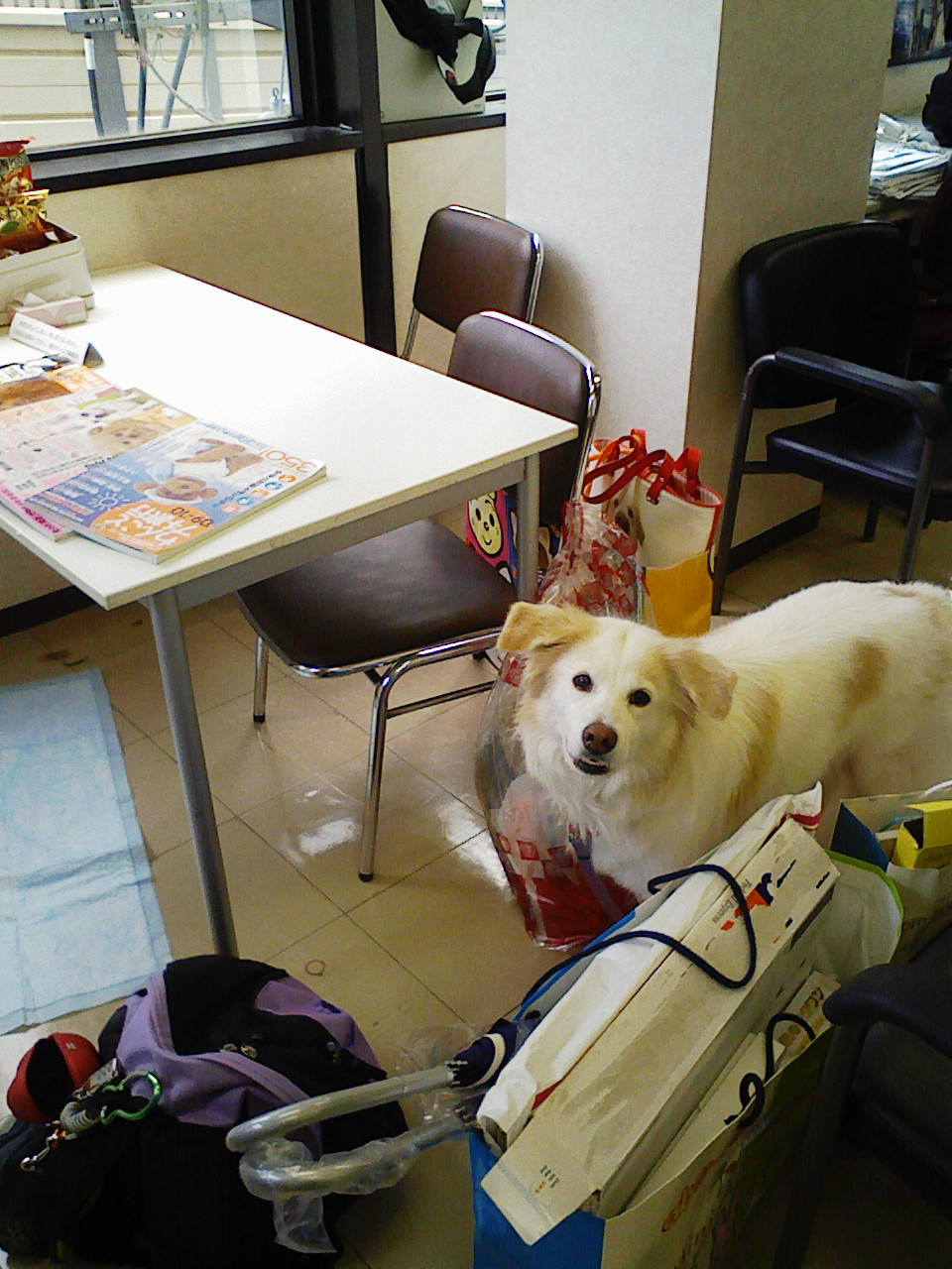 a0032004_12461034.jpg