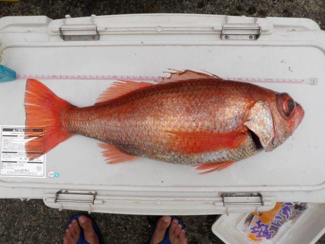 f0208204_16203483.jpg