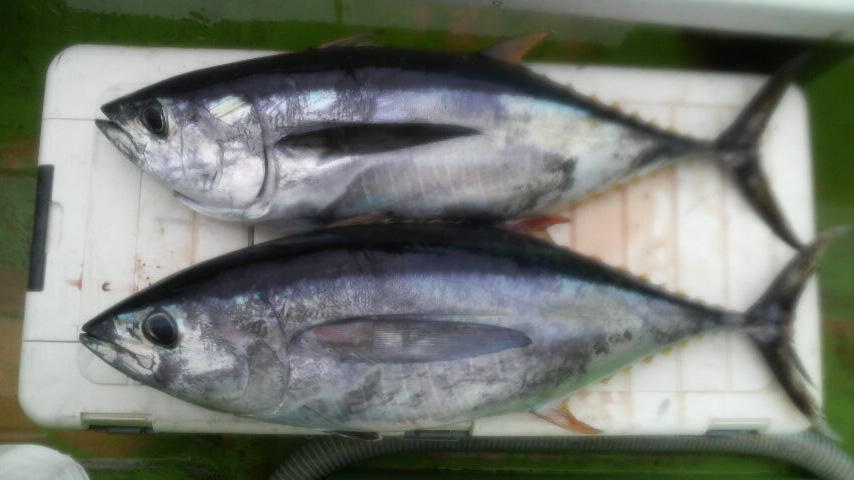 f0208204_16324137.jpg