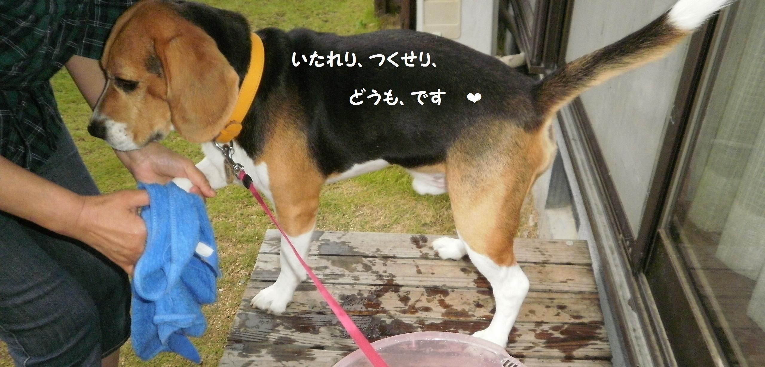 c0205806_13514031.jpg