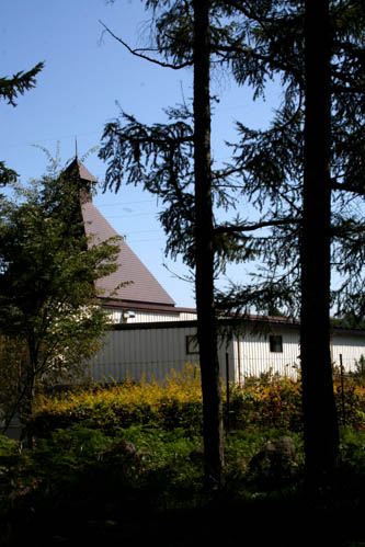 c0011009_1738345.jpg