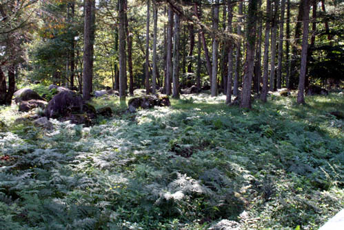 c0011009_17391839.jpg