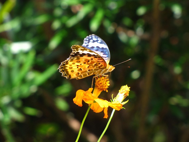 d0037110_20482713.jpg