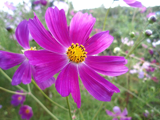 e0066210_13513436.jpg