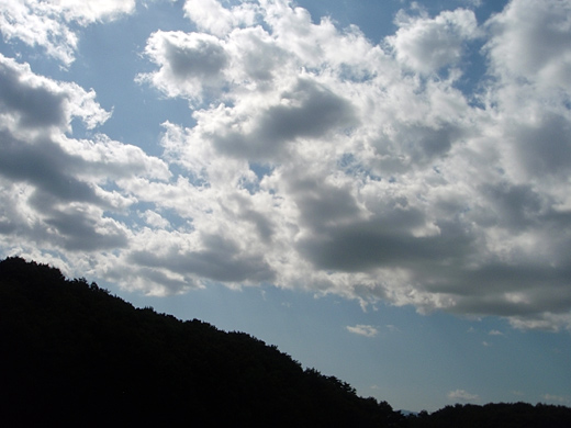 e0066210_13521892.jpg