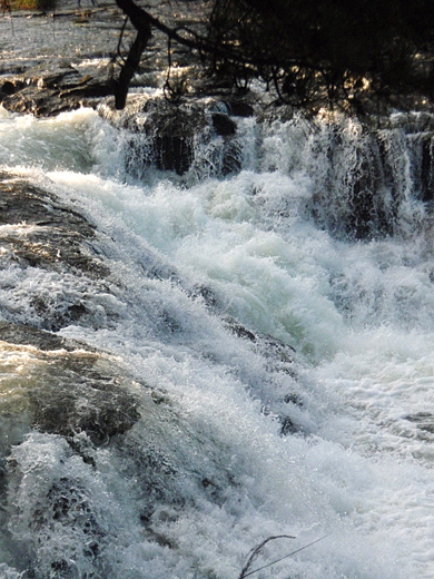 e0066210_1359681.jpg