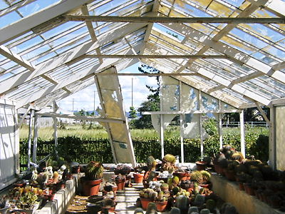 c0029913_017179.jpg