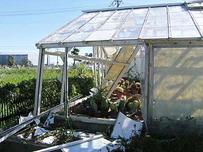 c0029913_0185241.jpg
