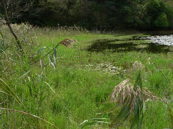 e0002314_2156352.jpg