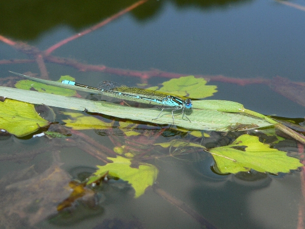 e0002314_2203049.jpg