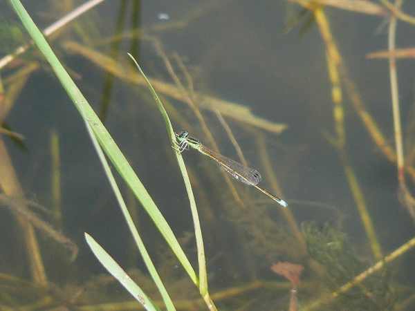 e0002314_220472.jpg
