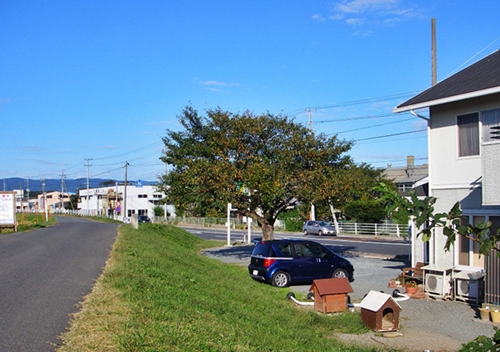 d0144618_21302349.jpg