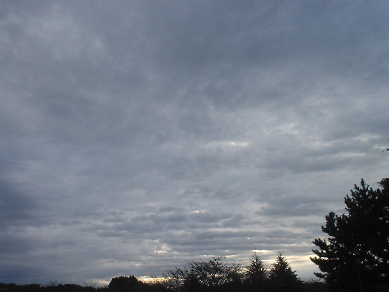 c0150520_9101889.jpg