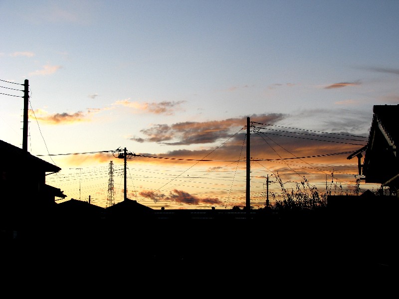 a0004023_10121992.jpg