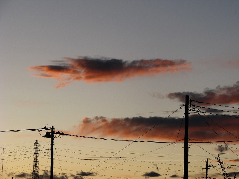 a0004023_10143730.jpg