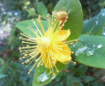 f0036223_926053.jpg