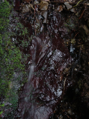 b0131724_1823531.jpg