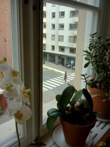 c0020127_082294.jpg