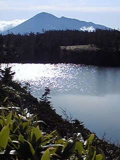 a0126128_1214078.jpg