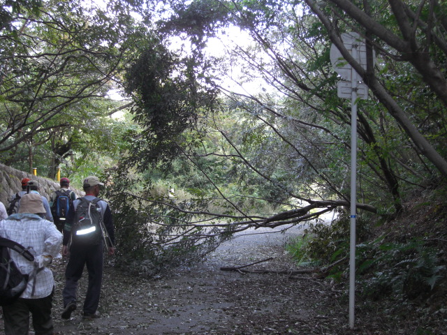 f0009128_12323075.jpg