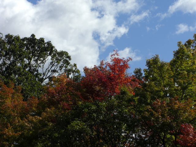 f0009128_1321724.jpg
